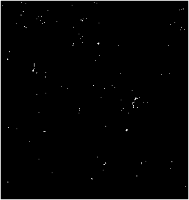 Device and method for diamond micro-powder overflowing grading treatment