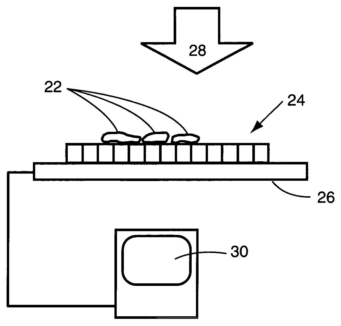 Integrated array sensor for real time measurements of biological samples