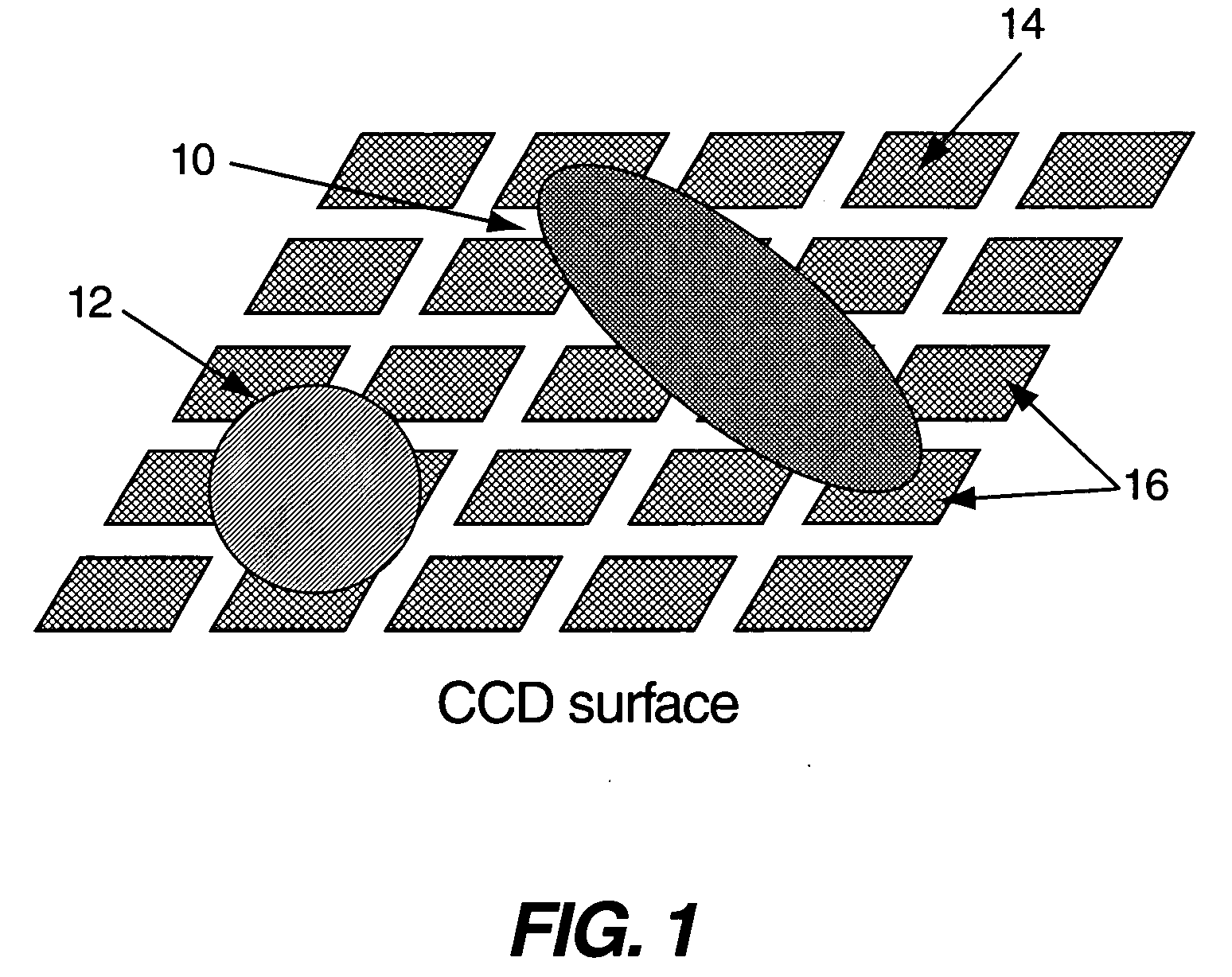 Integrated array sensor for real time measurements of biological samples