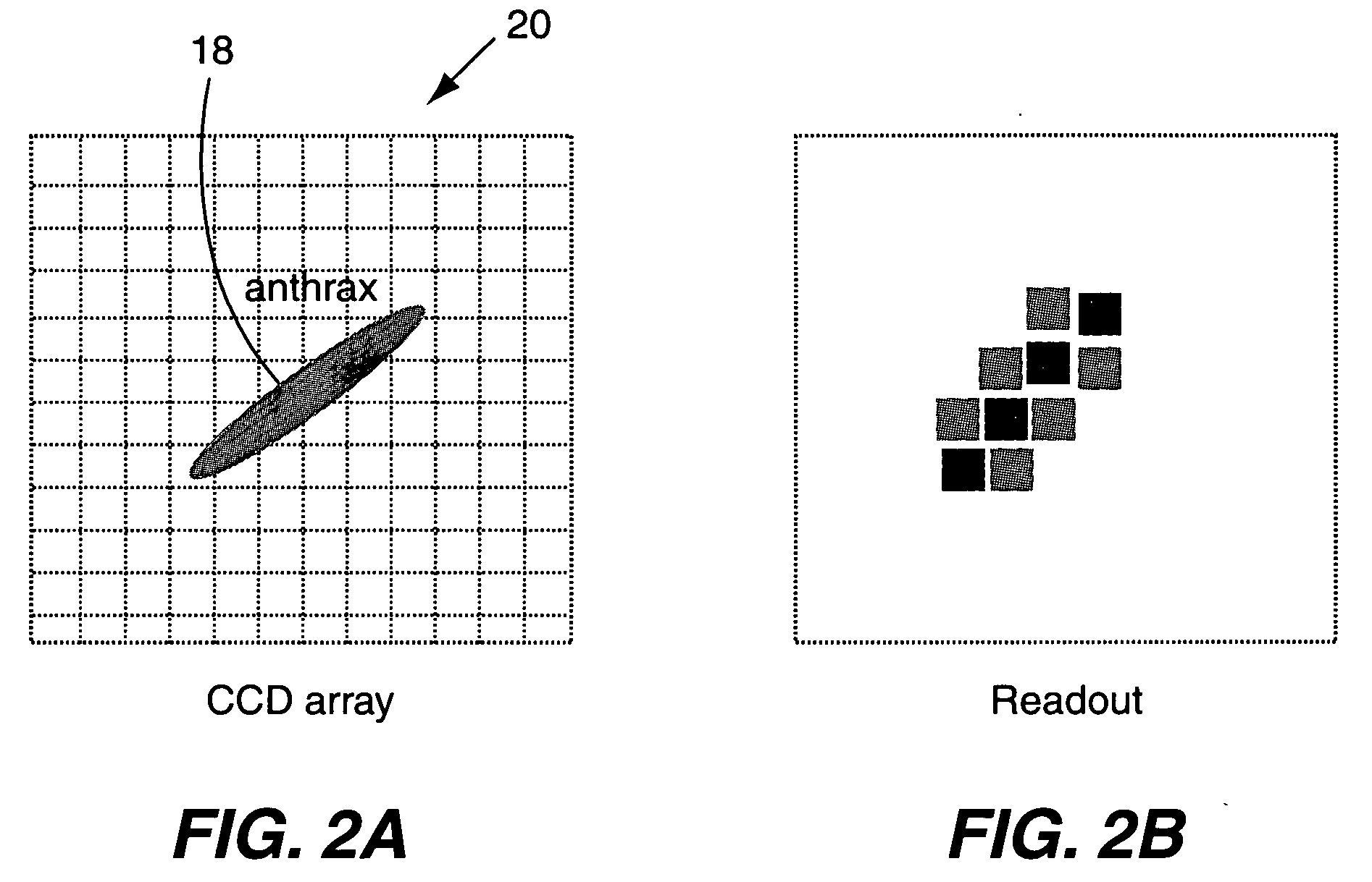 Integrated array sensor for real time measurements of biological samples