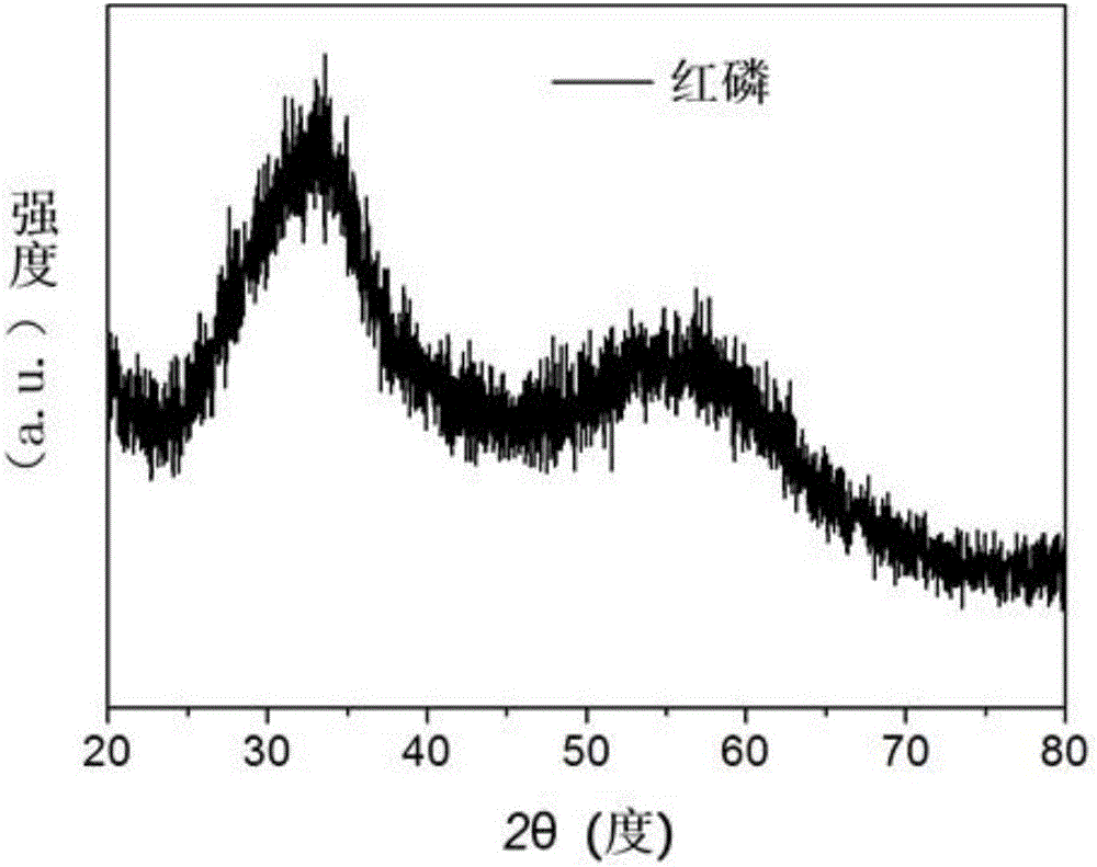 Nanoscale black phosphorus as well as preparation method and application thereof