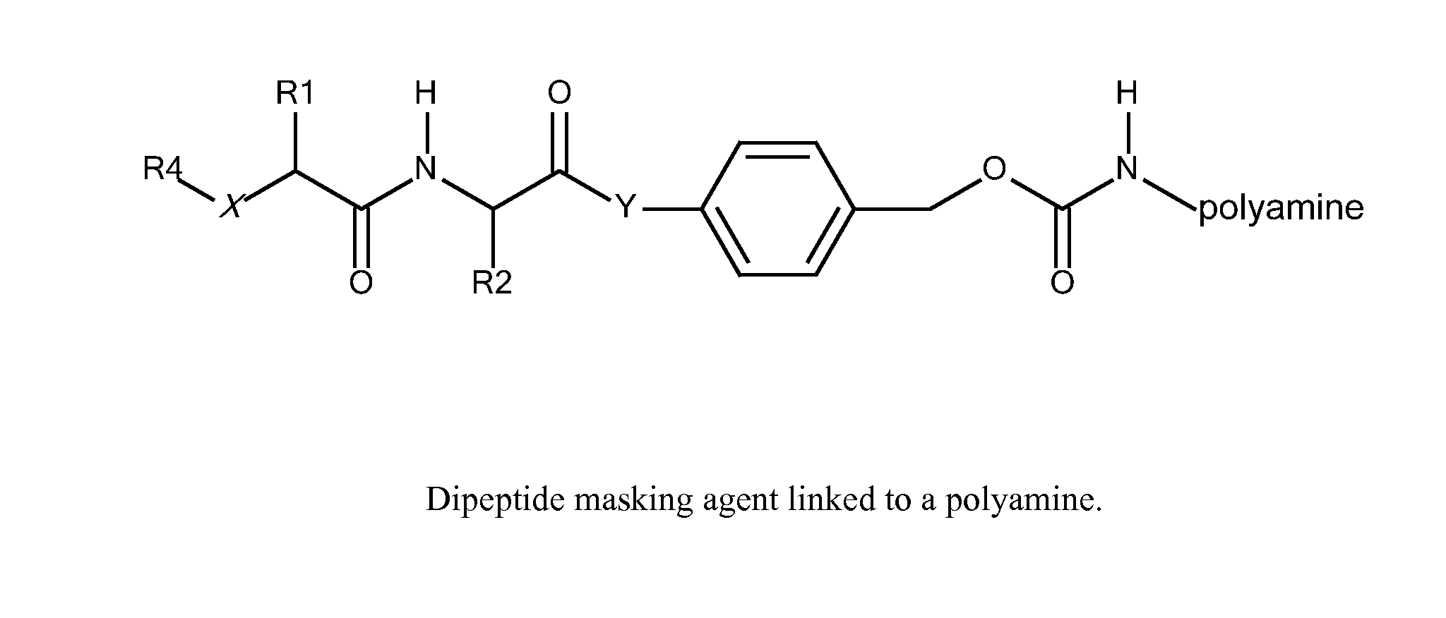 In Vivo Polynucleotide Delivery Conjugates Having Enzyme Sensitive Linkages