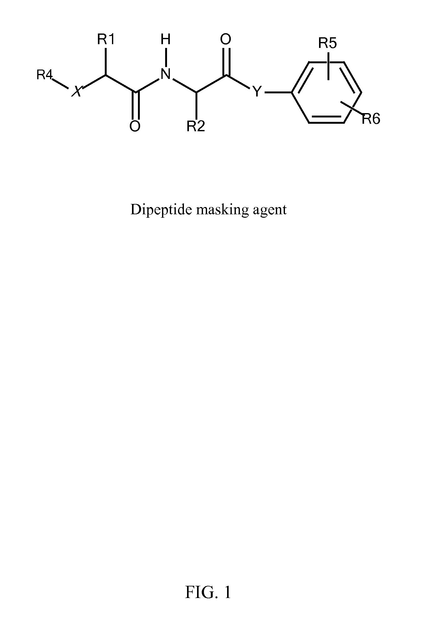 In Vivo Polynucleotide Delivery Conjugates Having Enzyme Sensitive Linkages