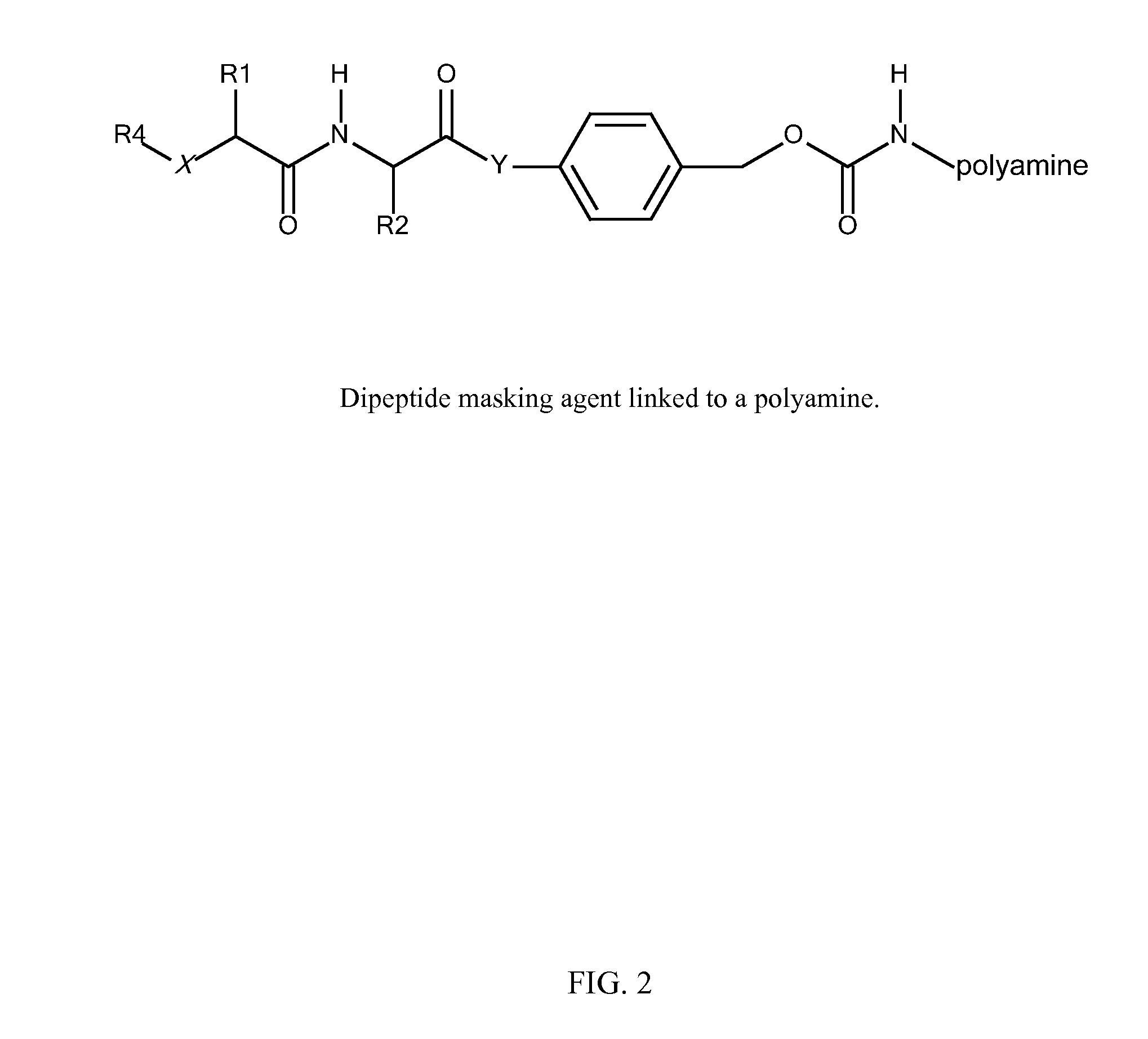 In Vivo Polynucleotide Delivery Conjugates Having Enzyme Sensitive Linkages