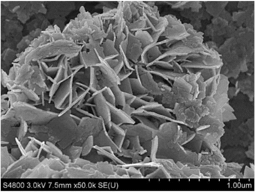 Hydrangea flower-cluster-shaped bismuth tungstate/biocarbon composite photocatalytic material, preparation method and application thereof