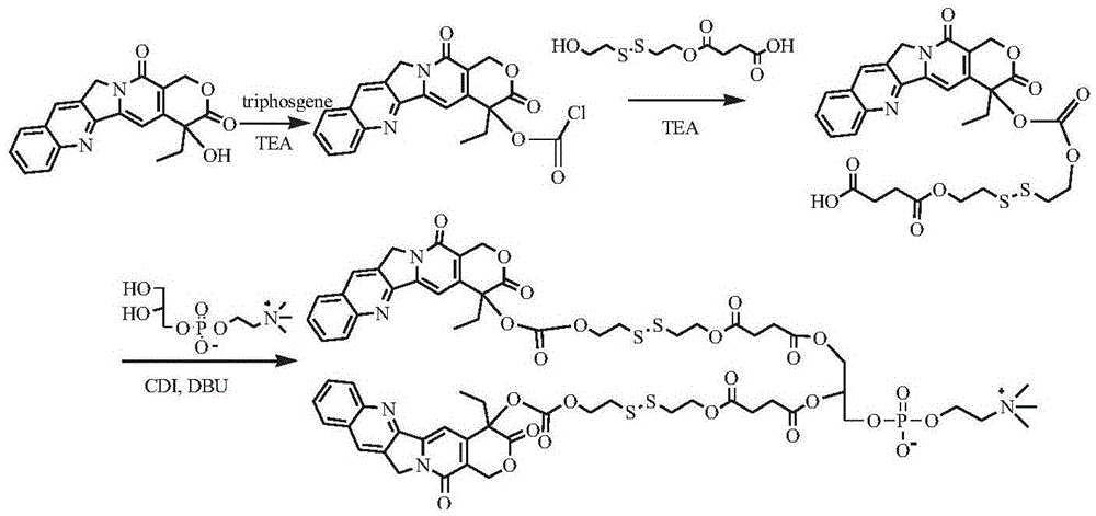 Quick release type medicine phosphatide compound and medicine composition thereof