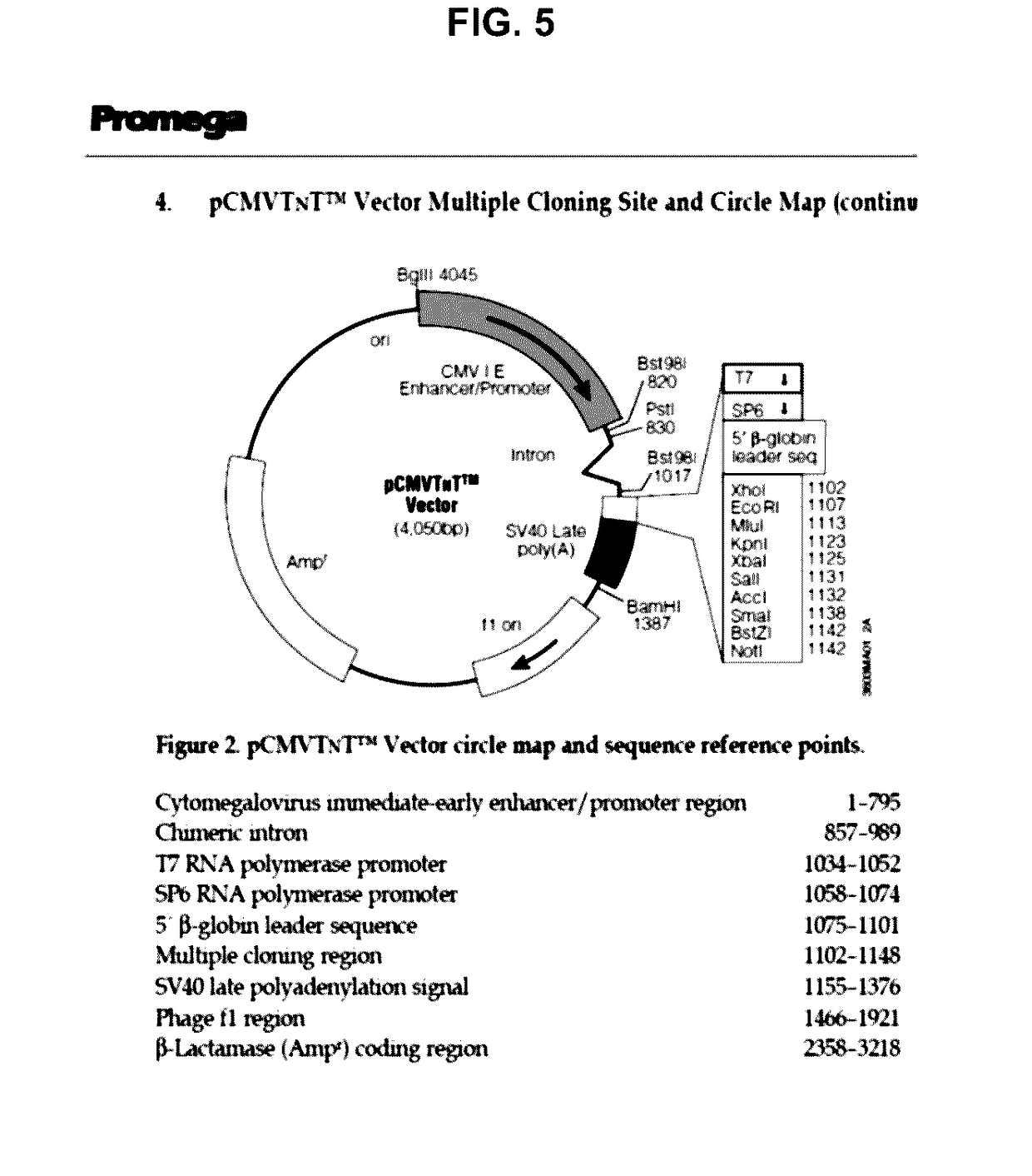 Antibody/drug conjugates and methods of use