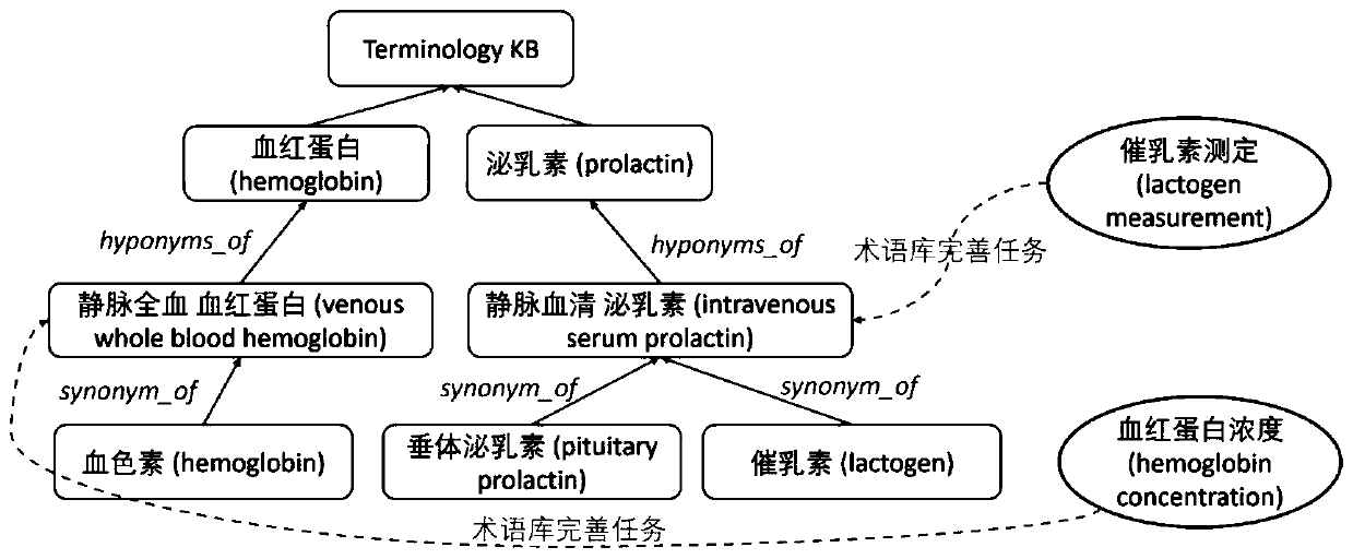 Method and device for perfecting medical term knowledge base