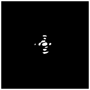 Imaging method for target hidden in opaque scattering medium