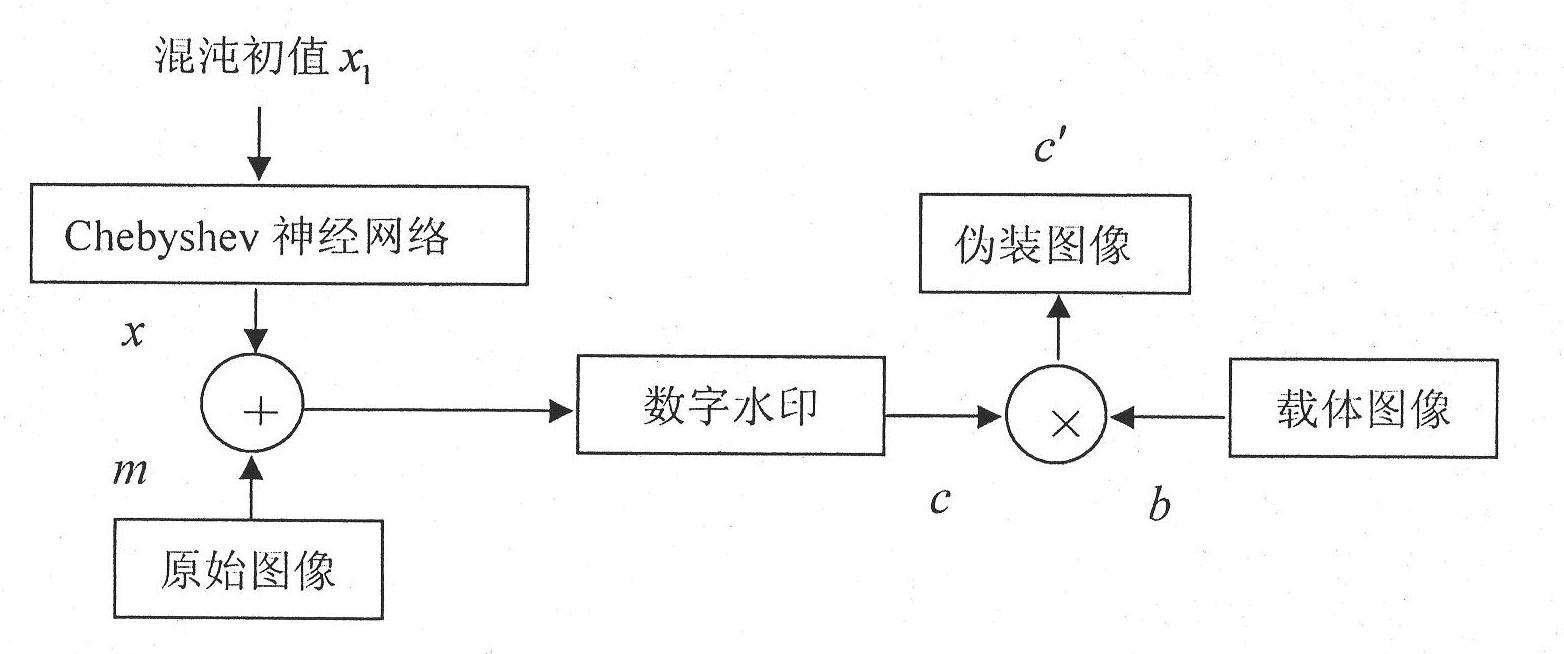 Method for hiding Chebyshev neural network chaotic digital watermark information