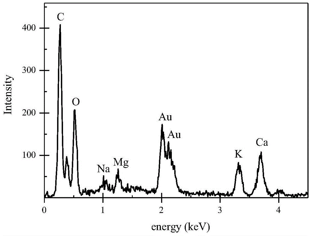 Quick analysis method for PBDEs (polybrominated diphenyl ethers)