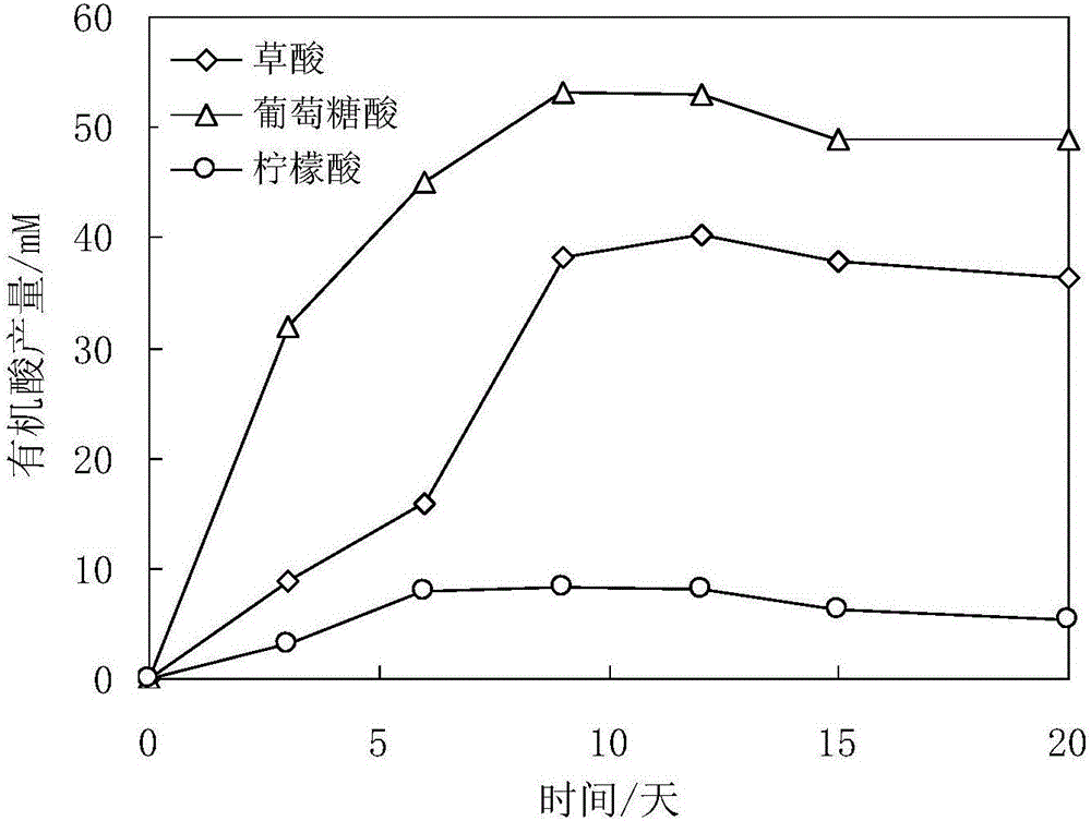 Method for conducting bioleaching treatment on heavy metal contaminated soil through composite filamentous fungi by taking straw as carbon source