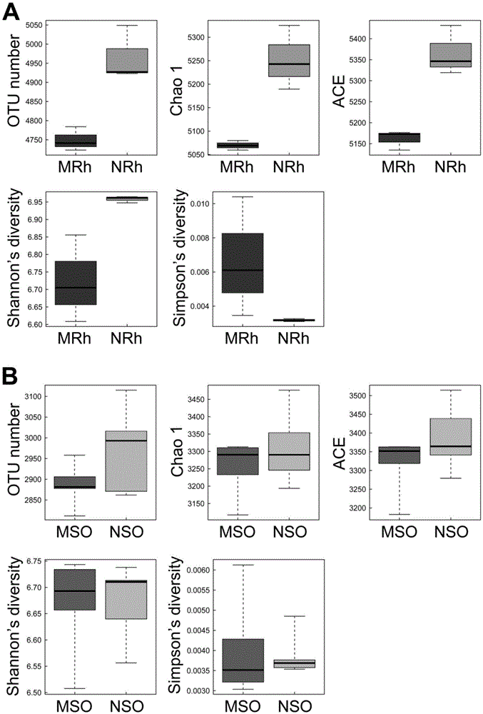 Method for detecting rhizosphere soil prokaryotic microorganisms of various soybeans based on 16SrDNA deep sequencing