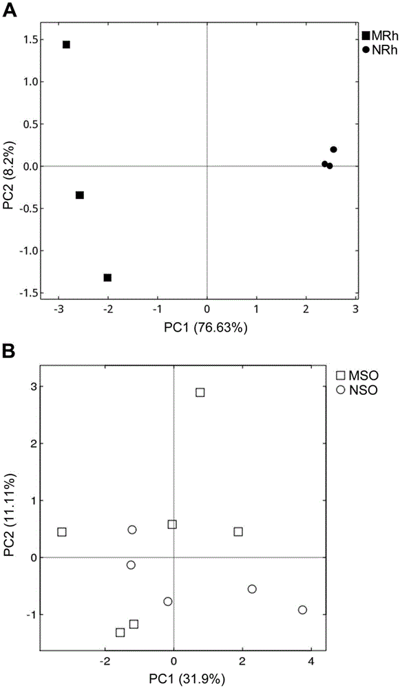 Method for detecting rhizosphere soil prokaryotic microorganisms of various soybeans based on 16SrDNA deep sequencing