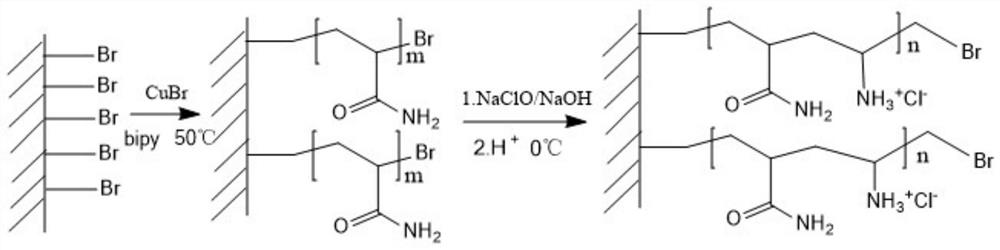 A kind of quaternized polymer brush antibacterial material based on si-atrp method and preparation method thereof