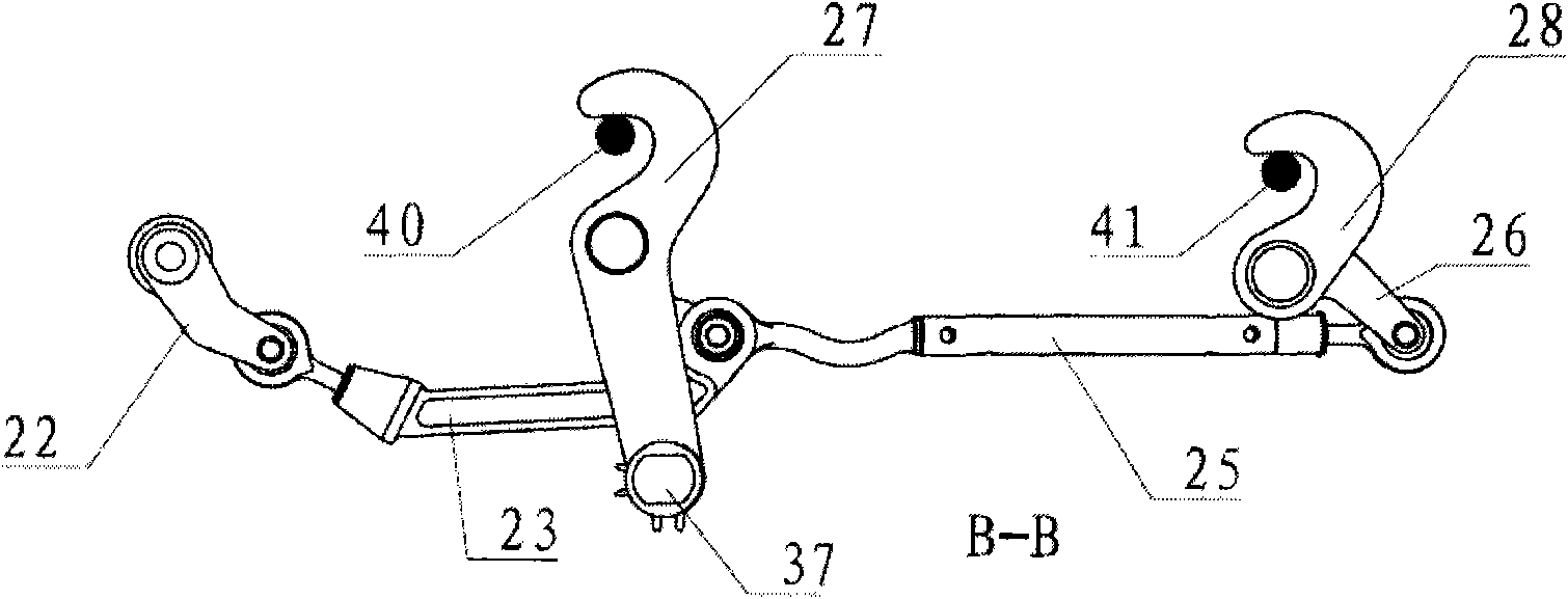 Multi-functional bird collision resistant ventilation window