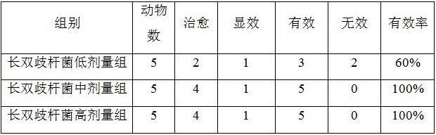 A kind of bifidobacterium longum and its application