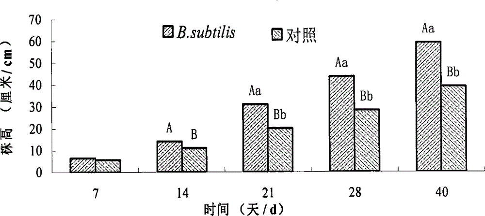 Method for screening multifunctional bacteria for degrading organophosphorus pesticides