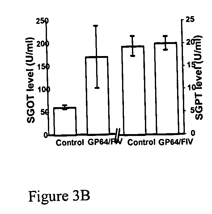 Methods for producing and using in vivo pseudotyped retroviruses