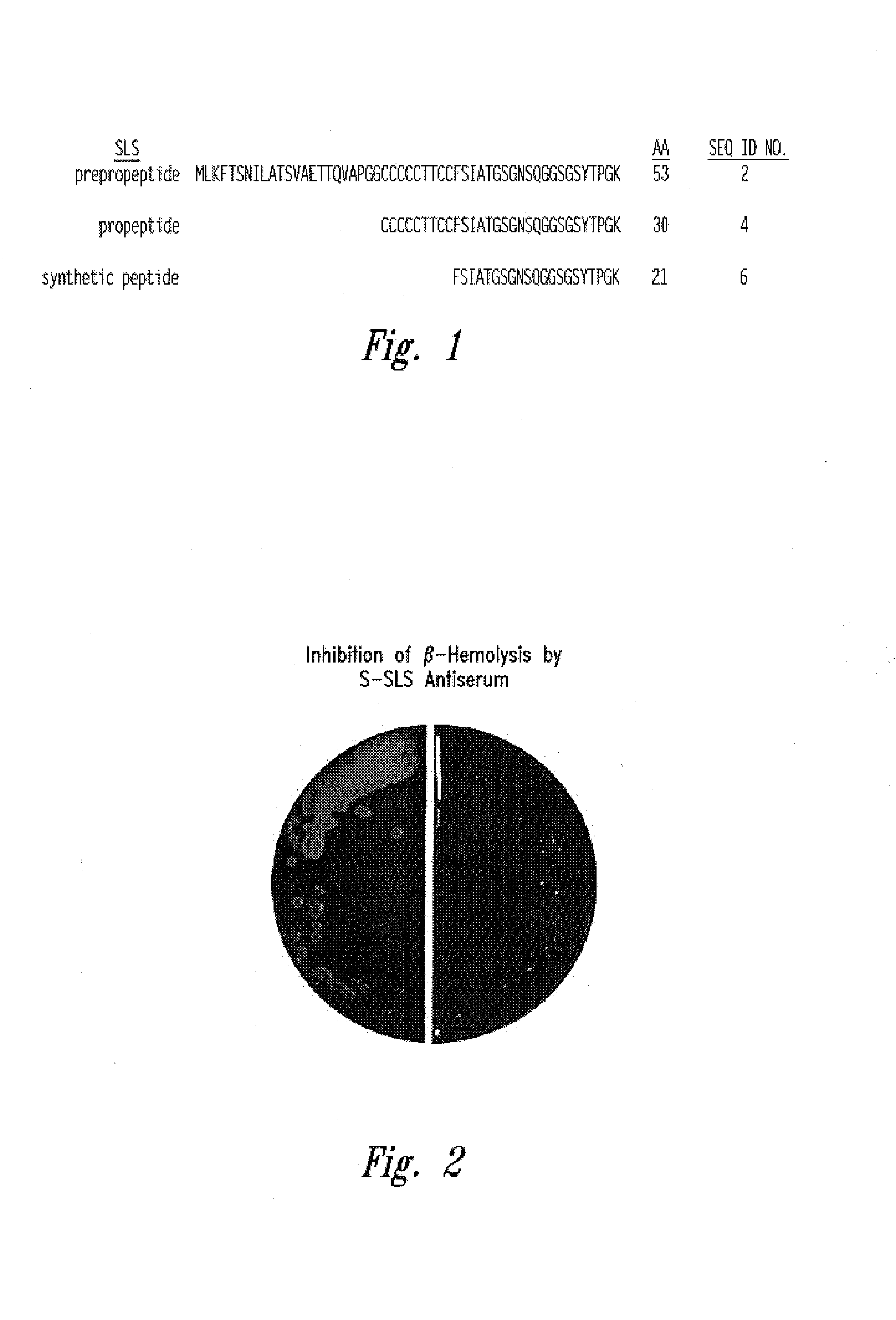 Streptococcal streptolysin S vaccines