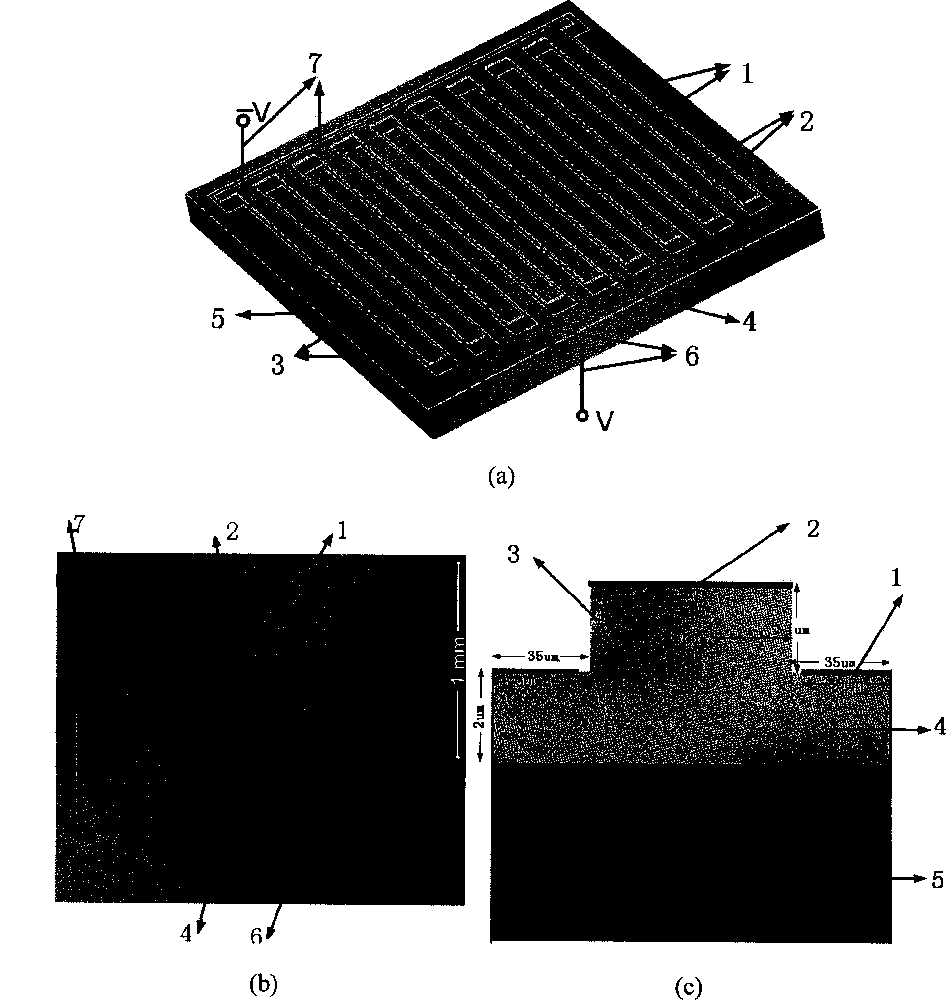 Schottky gate array type terahertz modulator