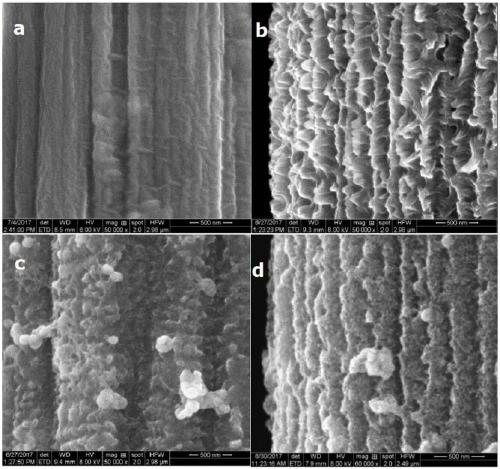 Preparation method of nitrogen doped carbon nano-array loaded iron phosphide/cobalt phosphide