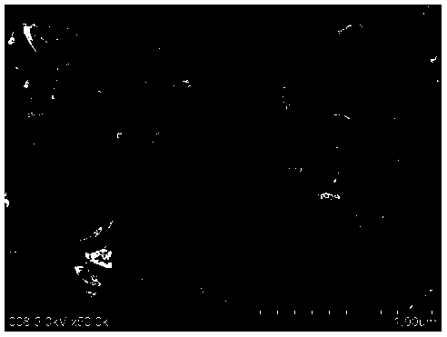 Preparation method of mesoporous carbon nanosheet and application of mesoporous carbon nanosheet as electrode material of super capacitor