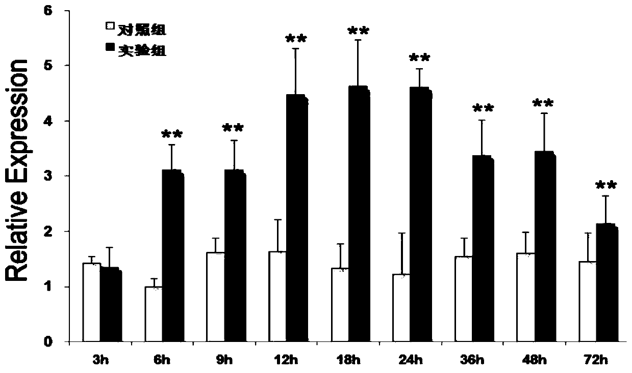 A method for analyzing whether prawns are subjected to hypoxic stress by detecting hurp1 gene expression