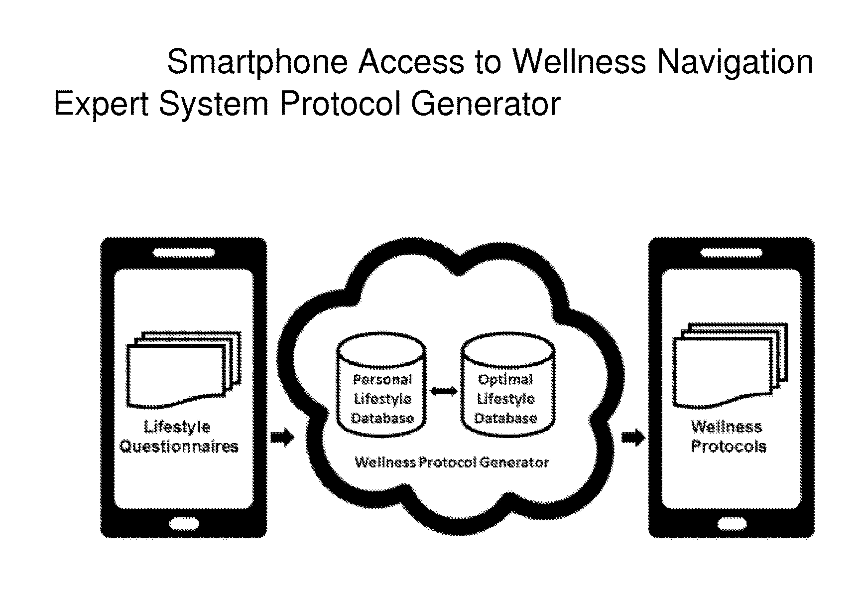 Wellness Navigation Expert System