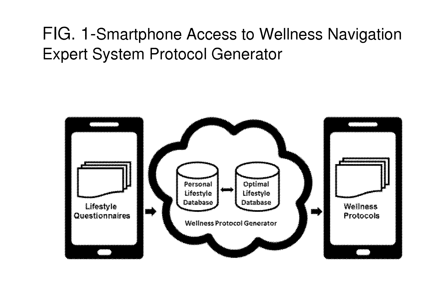 Wellness Navigation Expert System