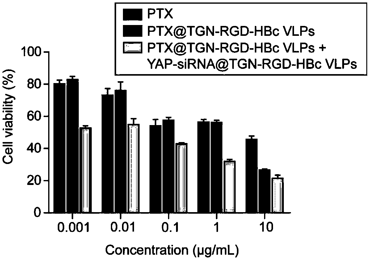 Cross-barrier targeted drug delivery system for lesions, drug-carrier system and host cell system