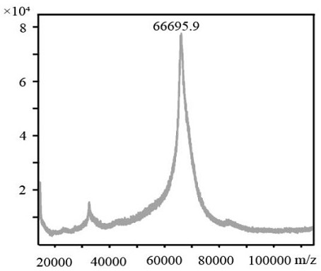 A kind of amniotic toxin iii hapten and its preparation method and application