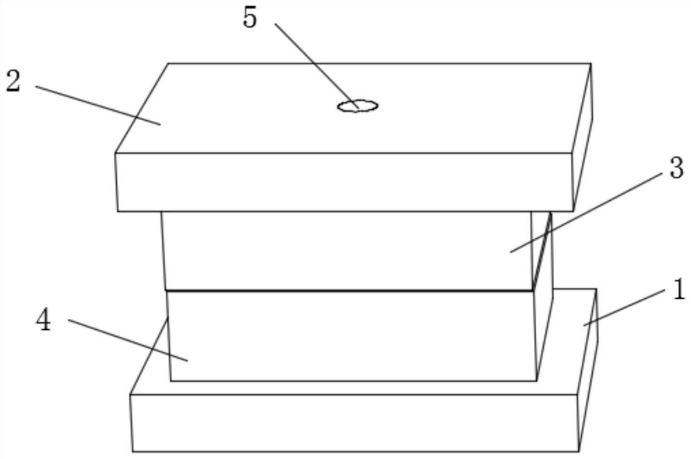 Injection molding process of foamed multicolor material