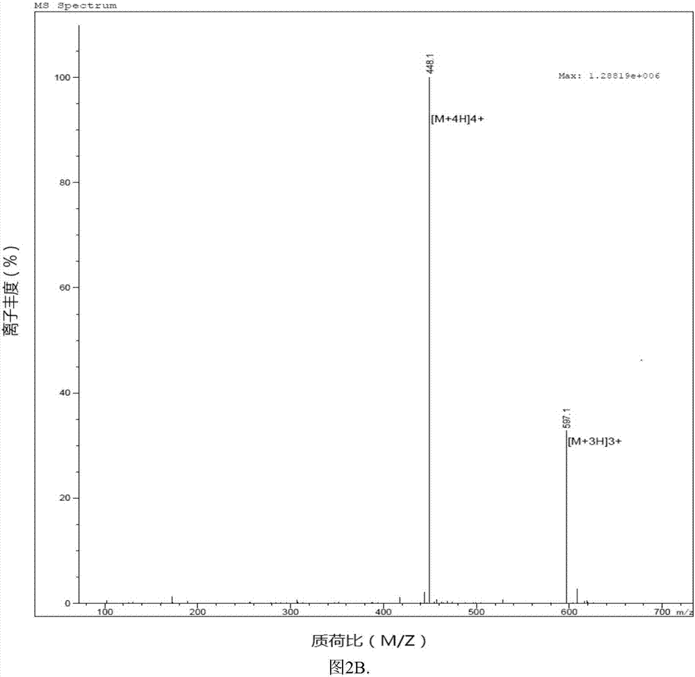 Antibacterial peptide derivate and application thereof