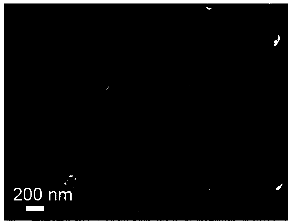 Medicine-carried black phosphorus shell glycan composite nanospheres and preparation method and application thereof