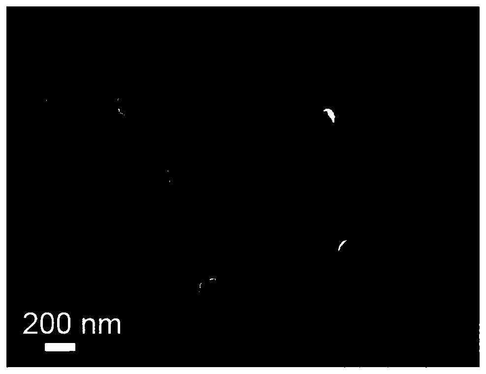 Medicine-carried black phosphorus shell glycan composite nanospheres and preparation method and application thereof