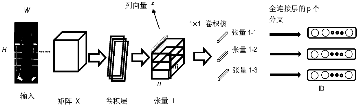 Pedestrian re-identification method based on human skeleton key point segmentation and column convolution