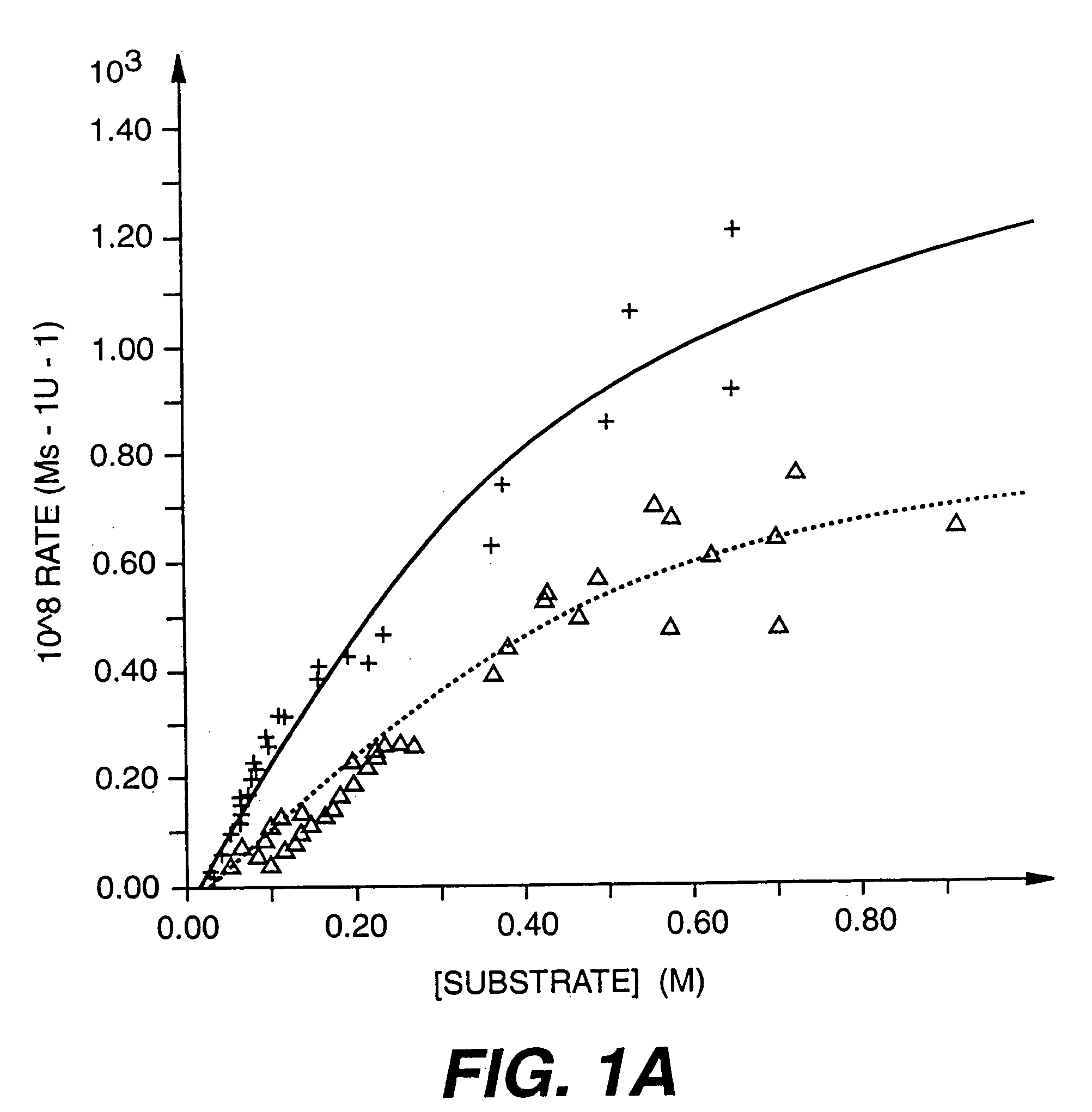 Aminosterol compounds useful as inhibitors of the sodium/proton exchanger (NHE), pharmaceutical methods and compositions employing such inhibitors, and processes for evaluating the NHE-inhibitory efficacy of compounds