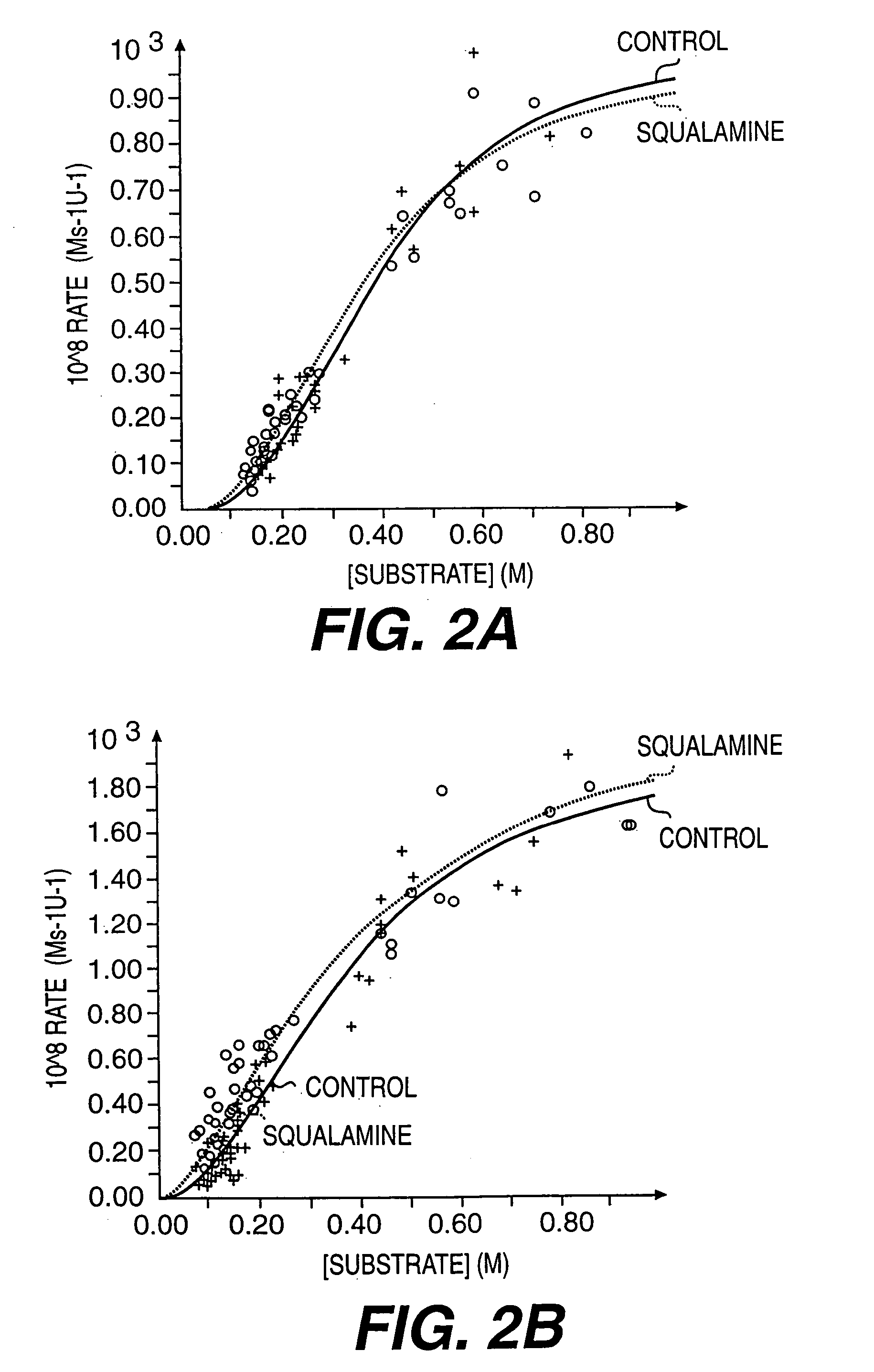 Aminosterol compounds useful as inhibitors of the sodium/proton exchanger (NHE), pharmaceutical methods and compositions employing such inhibitors, and processes for evaluating the NHE-inhibitory efficacy of compounds