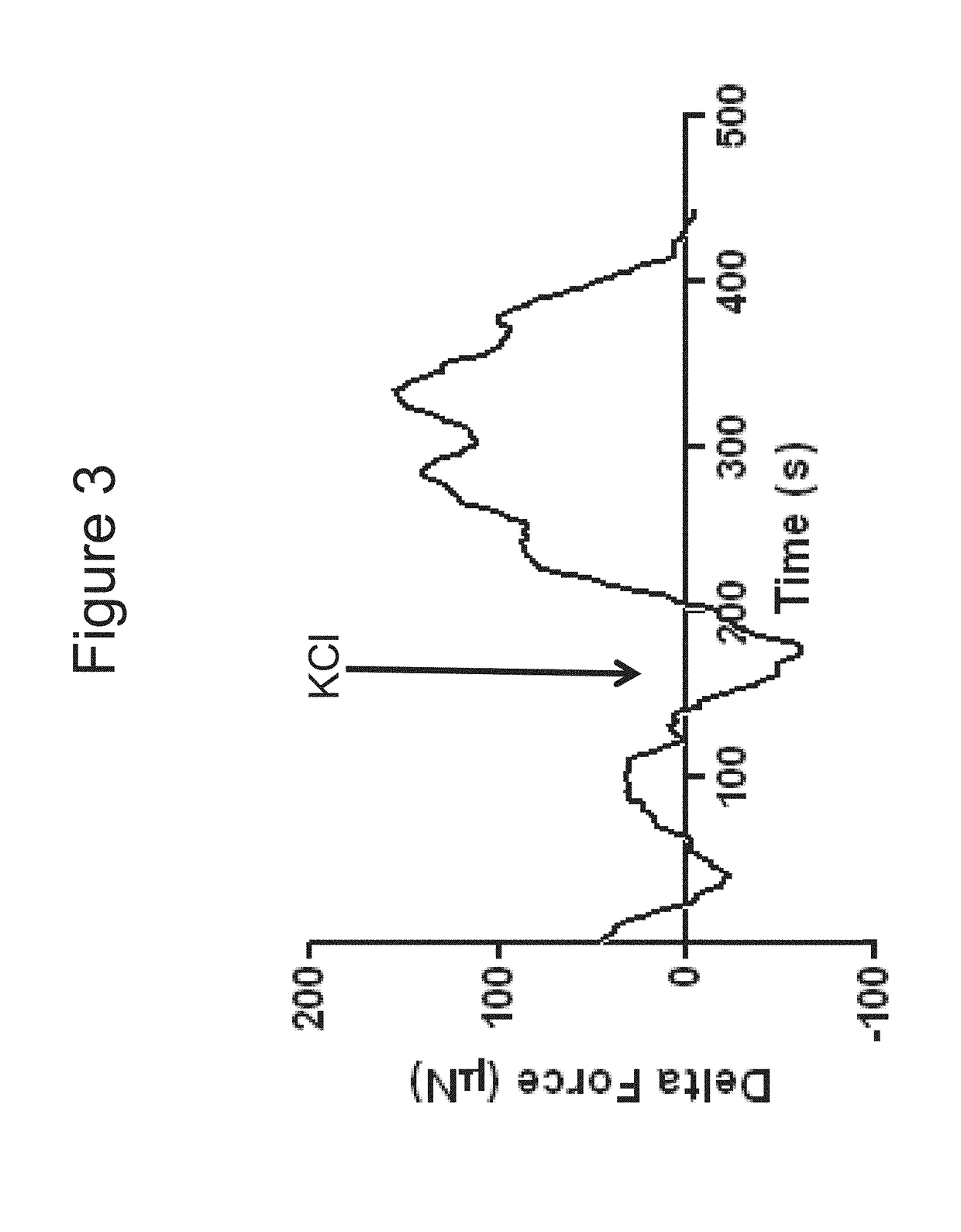 Innervation Of Engineered Structures