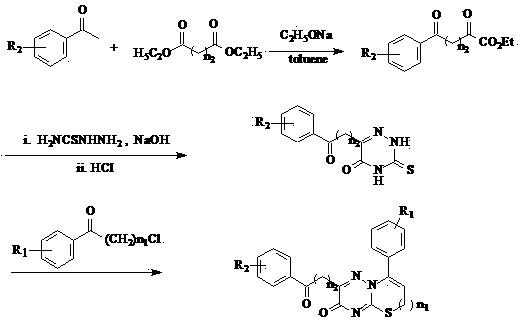 Benzoyl substituted thiazolo[3,2-b]-1,2,4-triazine derivative and application thereof