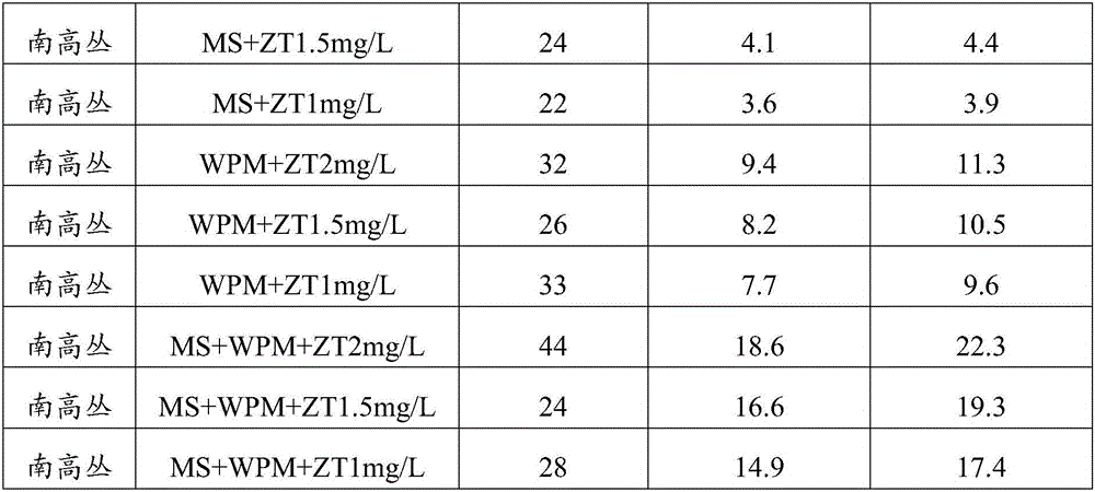 Blueberry tissue culture method