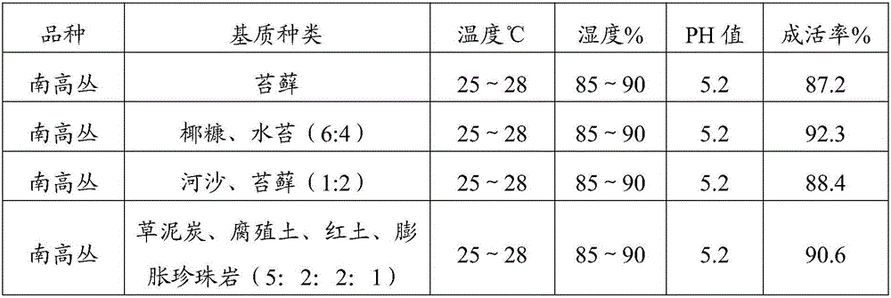 Blueberry tissue culture method