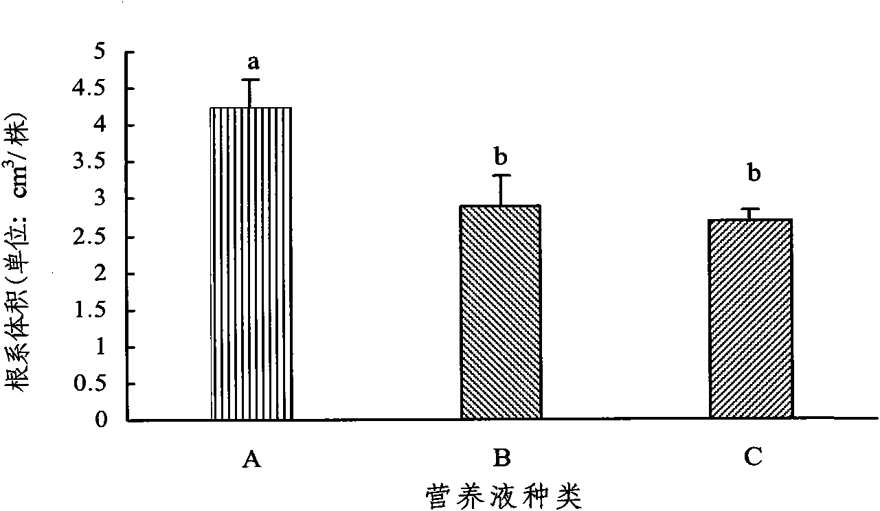 Soilless culture method for feather cockscombs