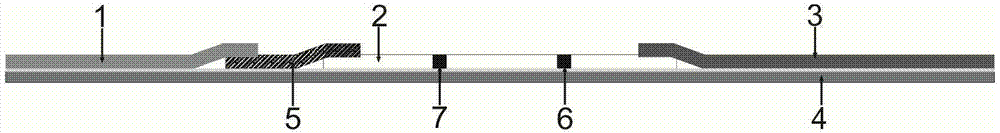 Immunochromatographic assay test strip for bacterial fruit blotch of melons