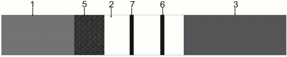 Immunochromatographic assay test strip for bacterial fruit blotch of melons