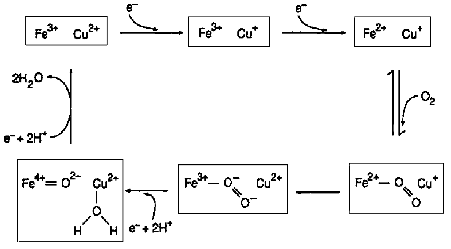 Method for improving fermentation yield of hyaluronic acid