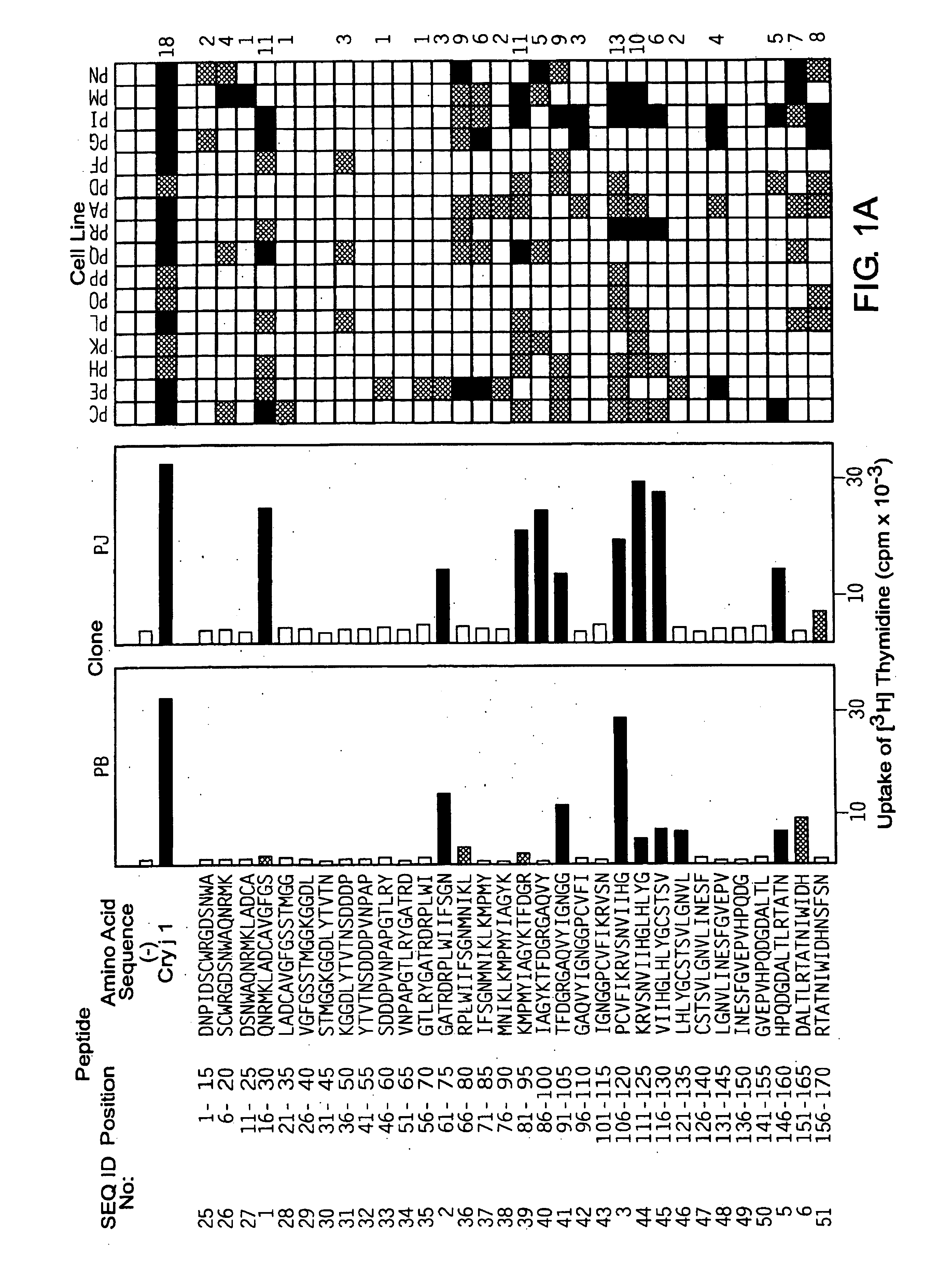 Peptide-based immunotherapeutic agent