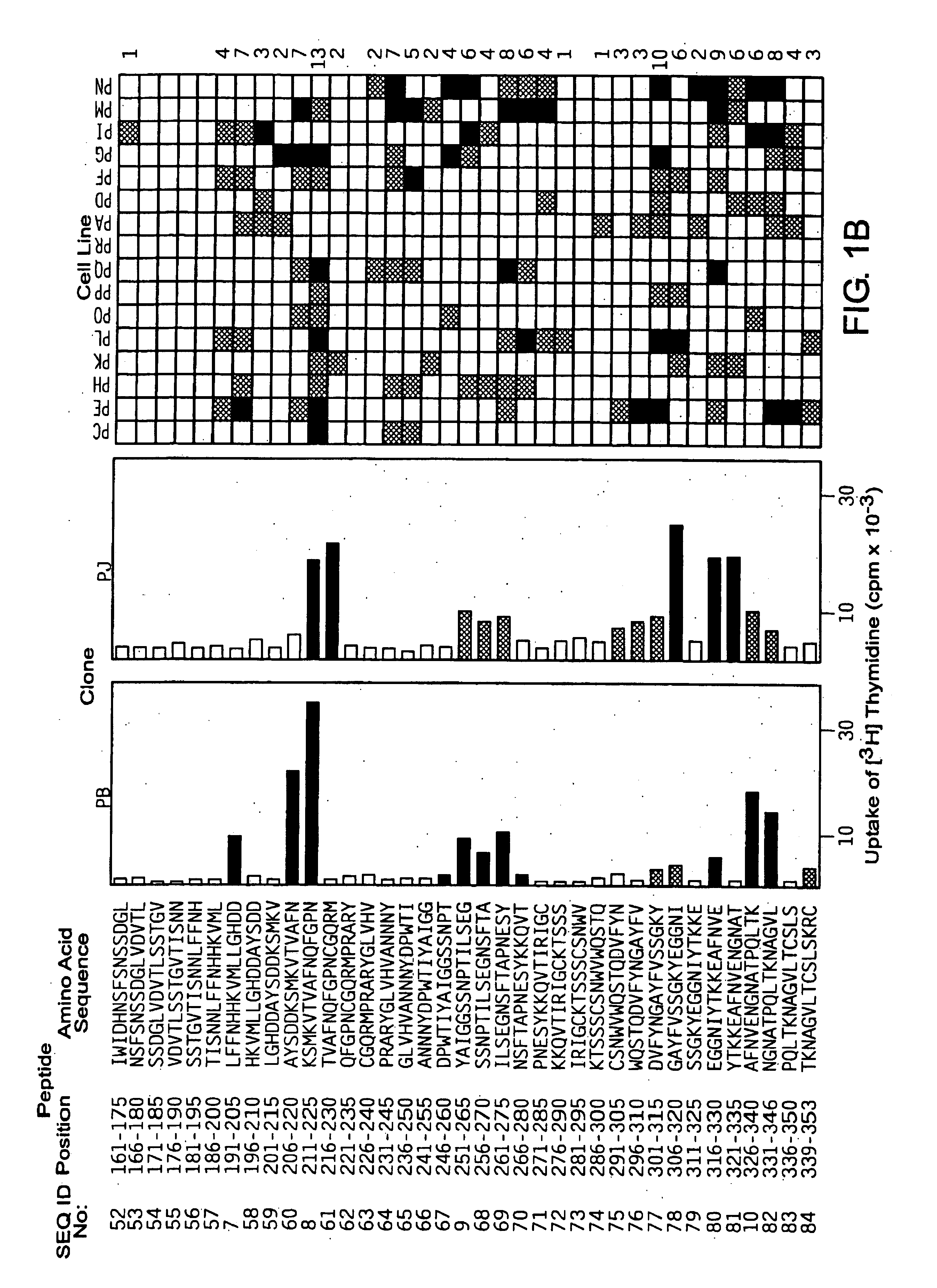 Peptide-based immunotherapeutic agent