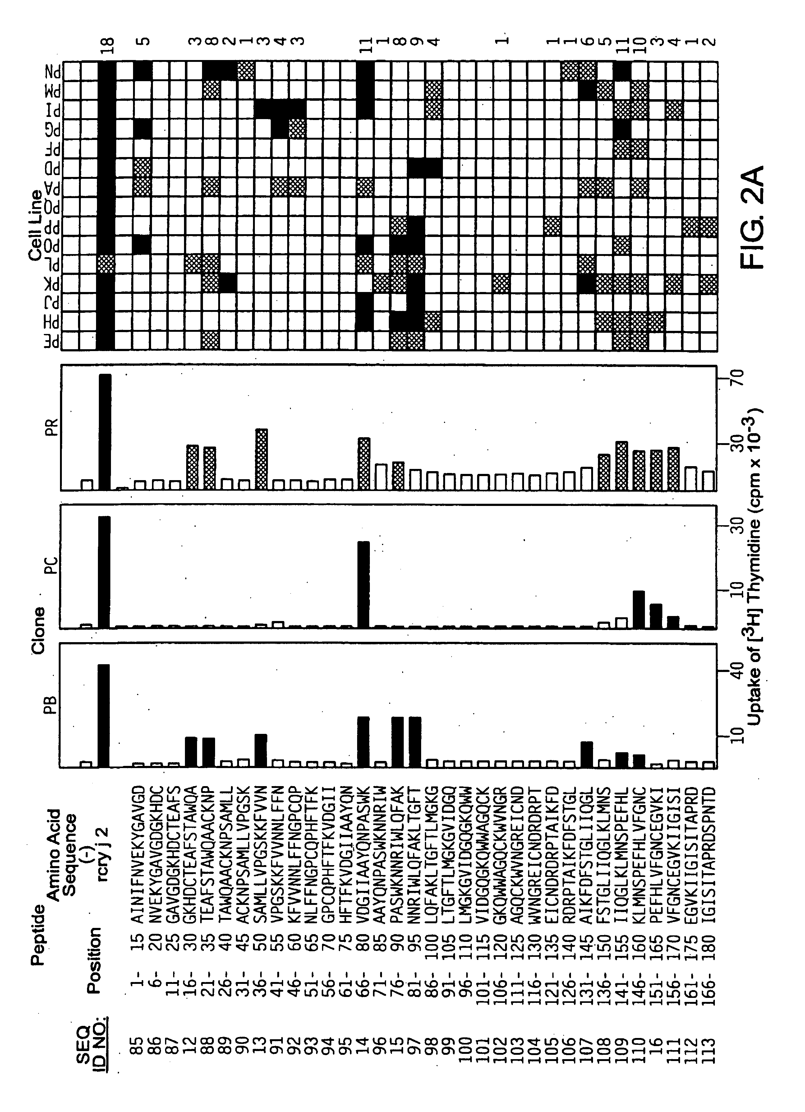 Peptide-based immunotherapeutic agent